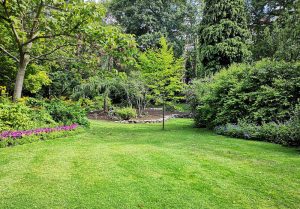 Optimiser l'expérience du jardin à Bourg-des-Comptes